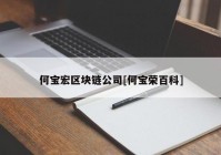 何宝宏区块链公司[何宝荣百科]